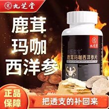 九之堂鹿茸玛咖西洋参片28片男士滋补营养素男人温补食品厂家批发
