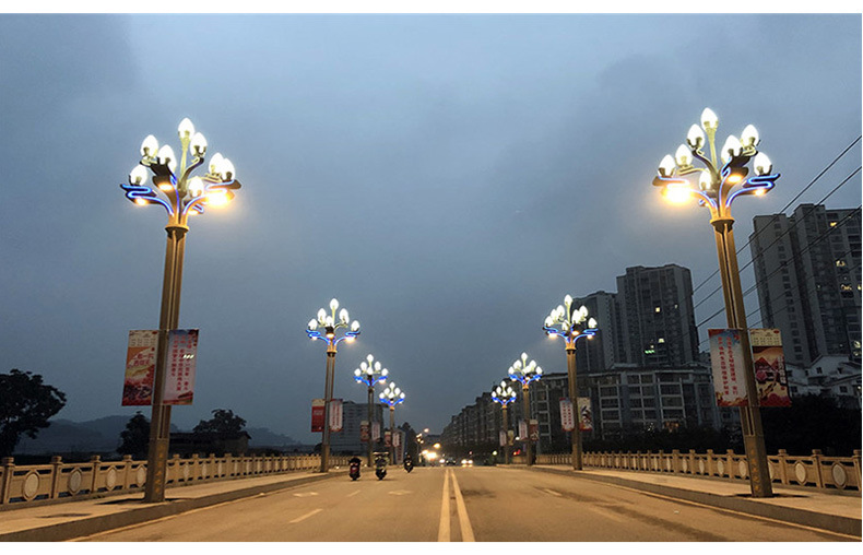 盛世莲花玉兰灯 - 路灯 太阳能路灯生产厂家