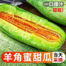 羊角蜜瓜山东蜜甜瓜新鲜孕妇水果应季现摘酥脆甜蜜瓜脆瓜香瓜批发