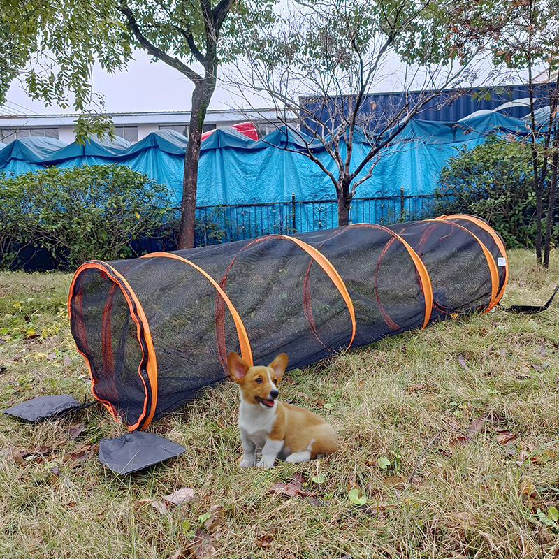 0成交70个相似亚马逊外贸壁虎蜥蜴爬行动物睡袋带枕头毛毯仓鼠宠物睡