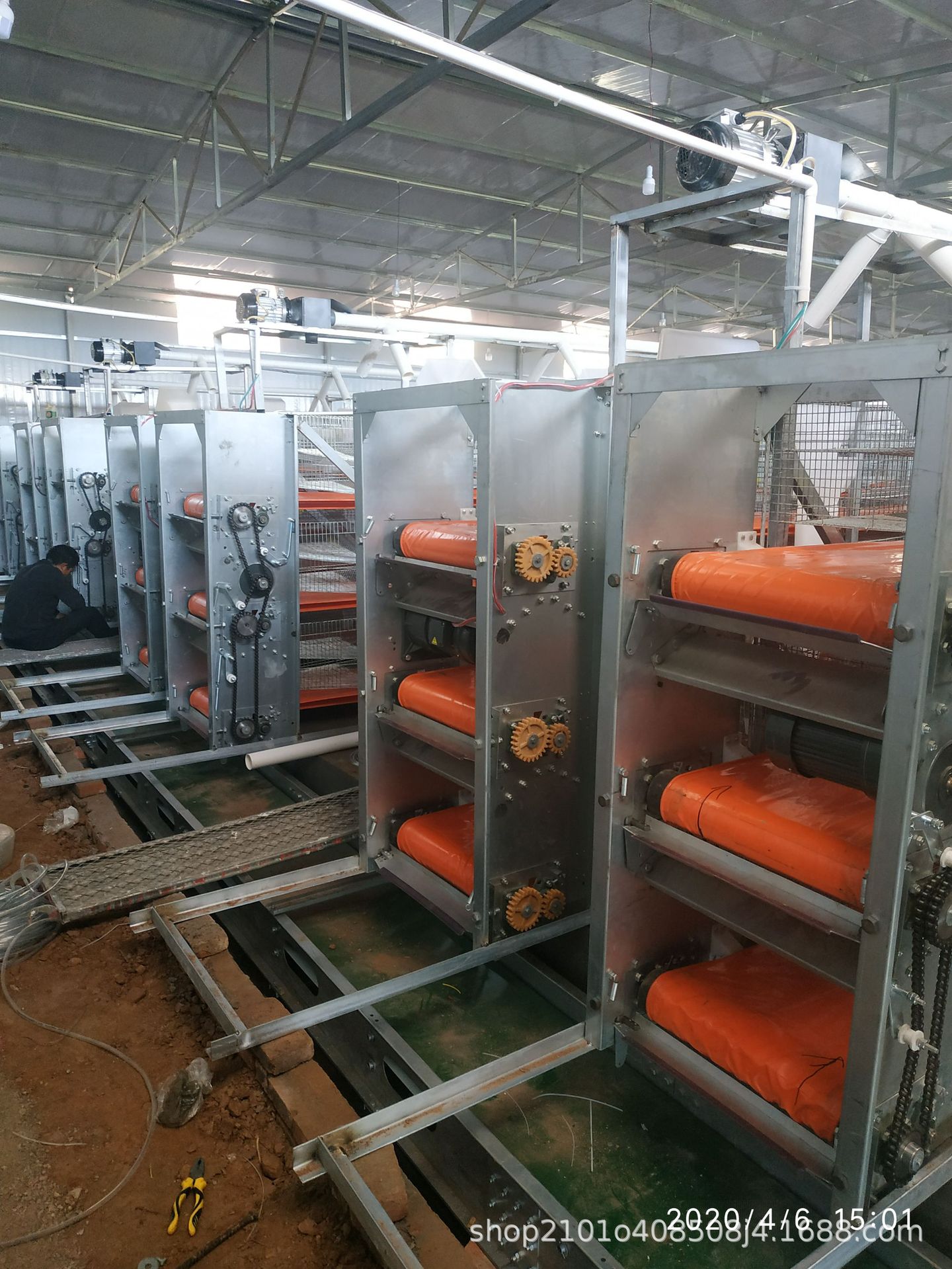 厂家直供全自动鹌鹑养殖笼,直立式鹌鹑笼清粪机,鹌鹑饲喂设备