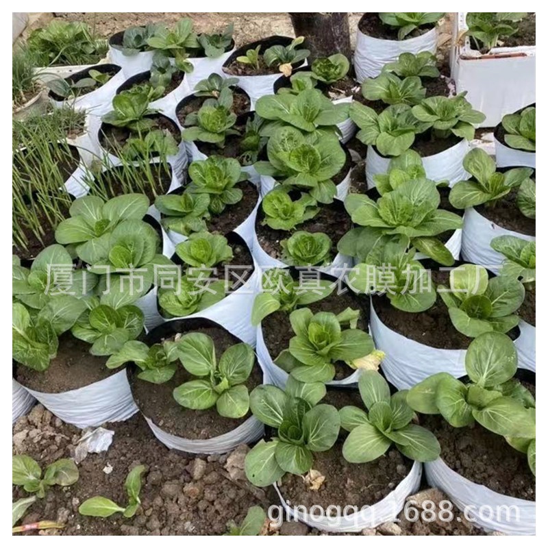 现货 无土栽培专用pe新料种植袋 抗紫外线耐用抗老化基质袋