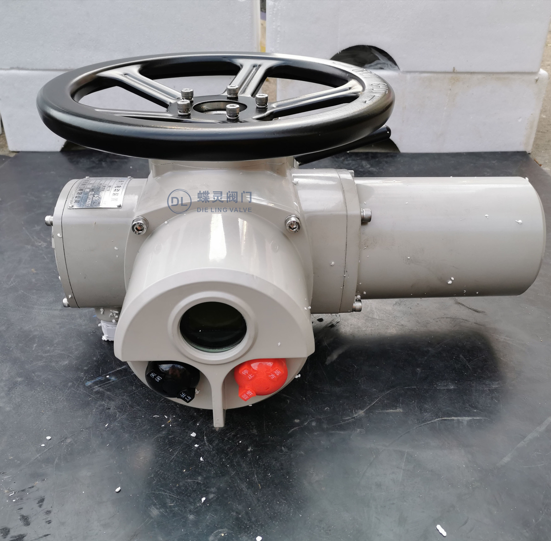 手电两用 dzw10-18z开关量控制电动执行器 z10-18智能开关型电装