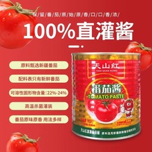 天山红番茄酱850g无添加直灌酱新疆番茄酱番茄酱家用西红柿酱