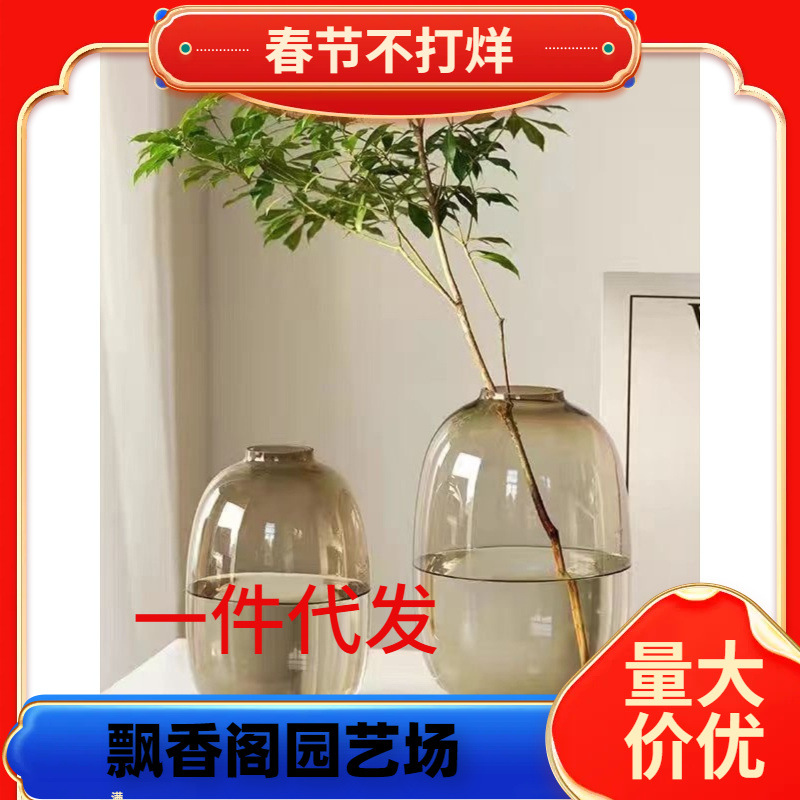 一件代发轻奢龟背竹玻璃花瓶摆件水培吊钟雪柳马醉木水养插花客厅