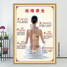 中医养生馆脊柱理疗背部经络疏通的好处挂图海报肩颈广告宣传图片