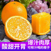 橙子批发广西桂林高山夏橙生鲜水果爆甜多汁现摘现发一件一件批发