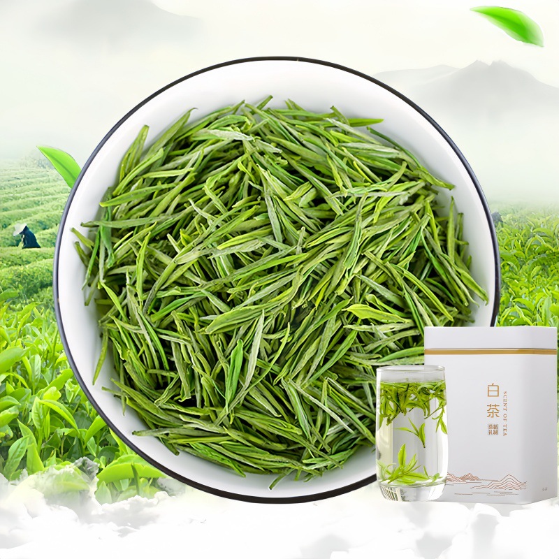安吉高山云雾头采竹乡白茶茶叶绿茶毛尖春茶罐装新茶自己喝礼盒装