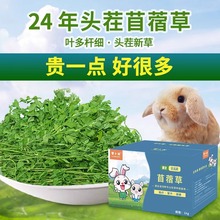 24年新草精品烘干紫花苜蓿草兔子龙猫豚鼠兔兔干草牧草食物1kg