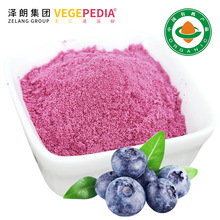 蓝莓果粉 蓝莓/越橘汁粉 提供蓝莓粉 喷雾干燥 蓝莓汁粉 现货供应