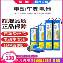 电动滑板车36锂电池48电池喜德盛爱玛松吉60伏自行车电瓶1012