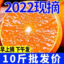 【现货】四川果冻橙爱媛38号当季新鲜水果橙子手剥橙非冰糖橙脐橙