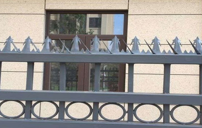 佛山现货小区院墙围栏防盗刺防盗刺钉不锈钢倒刺网大小号刺钉