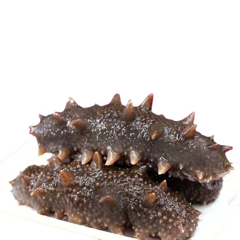 2斤大号即食海参鲜冻野刺参8年老参大连辽参大号1斤约6/12只家用