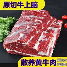 牛肉顺丰冷链十斤牛上脑肉新鲜批发生无添加现杀冷冻五斤一件批发