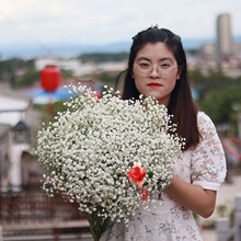 云南超大束满天星干花花束多色真鲜花风干天然散装论斤卖客厅装饰