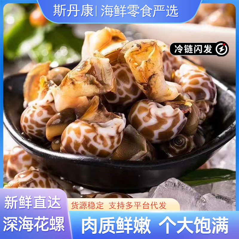 速冻花螺新鲜海螺鲜冻大号泥螺东风螺海鲜贝类捞汁食材商用大花螺