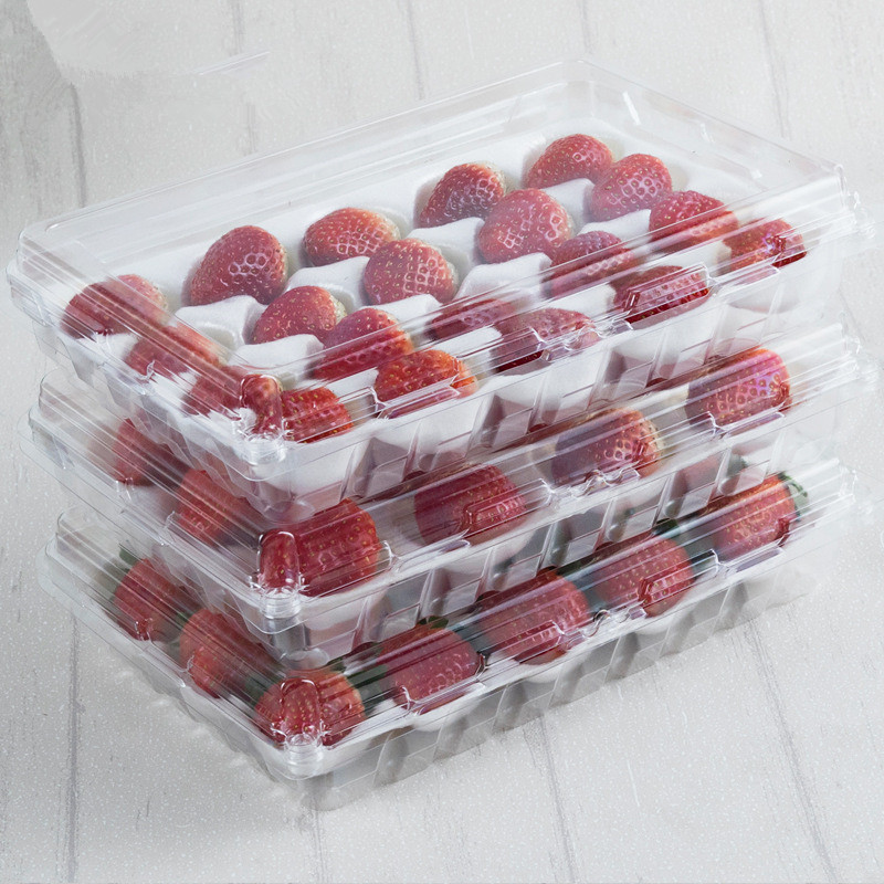 新款一次性草莓盒20粒有盖透明塑料包装盒水果盒批发15粒12粒装in