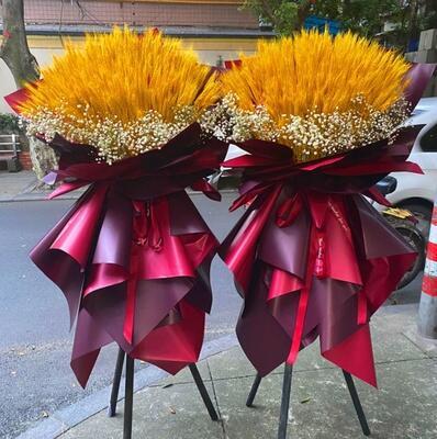 偏远地区和低价商品不包邮的哦,晚栗注意:以上价格均为单个花篮价格