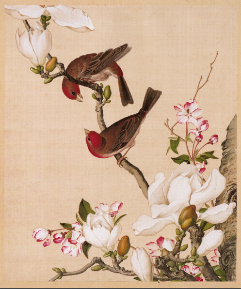 《海棠玉兰图》 清 郎世宁 画家 名人字画 39*47cm 包邮-阿里巴巴