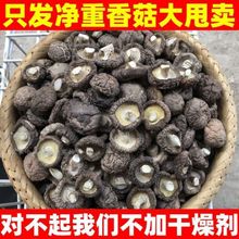 小香菇干货香菇菌菇农家土特产干香菇新货小冬菇净重干香一件代发