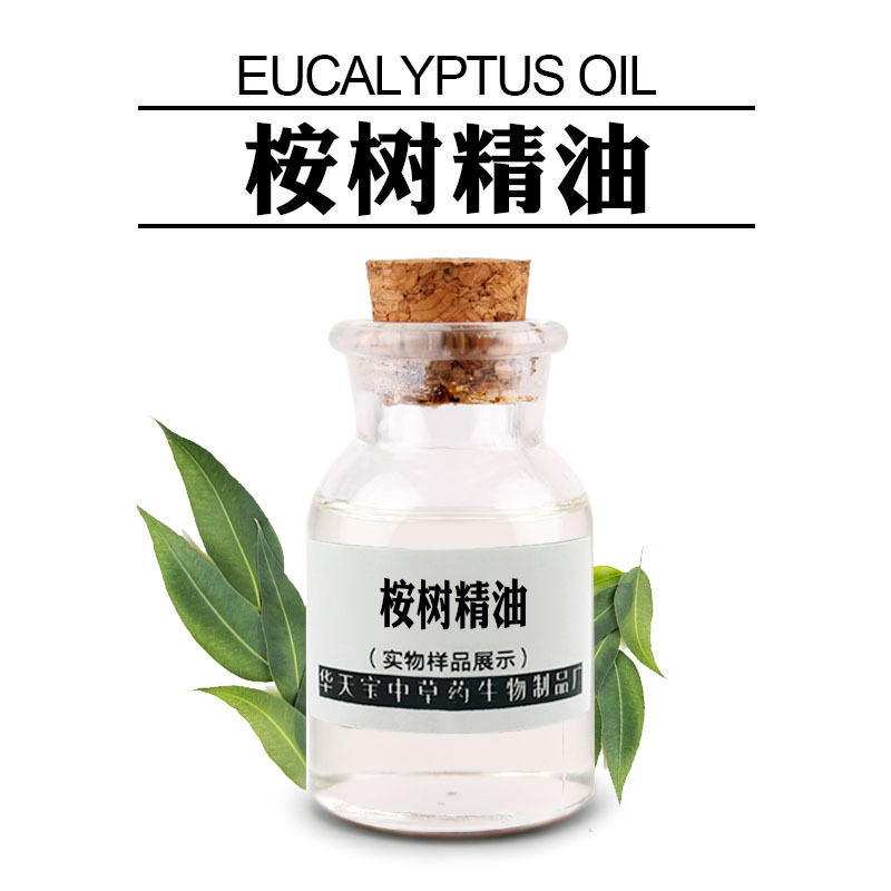 桉树精油1kg单方桉树油蒸馏提取桉叶精油8000484原油厂家
