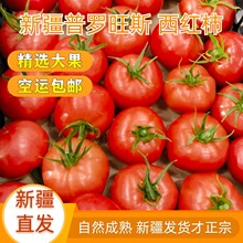 新疆普罗旺斯西红柿沙瓤番茄5斤水果新鲜自然熟新疆直发空运 代发