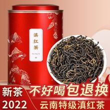 云南正宗凤庆古树特级滇红茶高档浓香型2022新春茶叶金芽蜜香礼盒