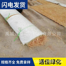 江苏南京椰丝植生毯 植物纤维毯  绿维生态毯 带草籽植被毯 绿化