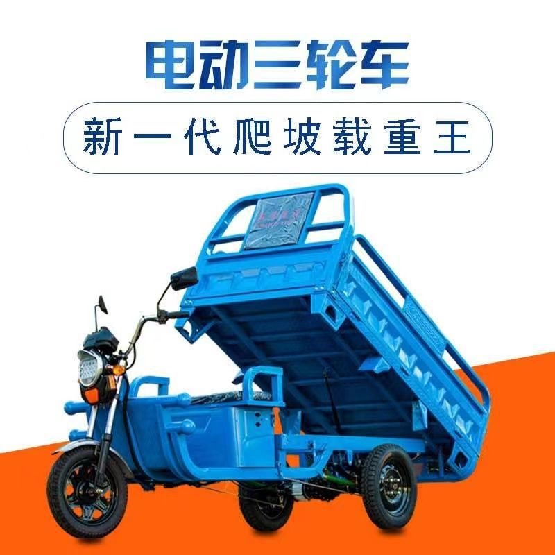 三轮车电动车电动货车载货王拉货农用摆摊山区货运爬坡国标重型