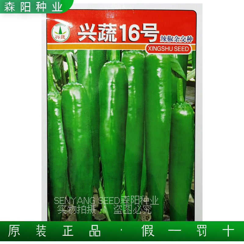 兴蔬16号辣椒种子中熟高产牛角椒春秋季善椒十五号软香辣鲜食青椒