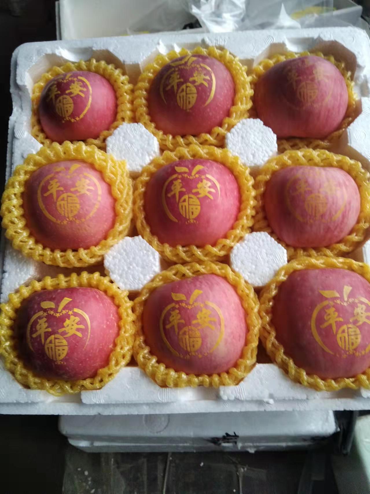 印字贴字苹果平安果水果烟台红富士苹果送礼艺术苹果圣诞节平安果