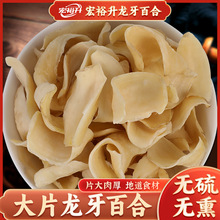 大片龙牙百合干新鲜无硫高膳食纤维软糯香甜隆回特色干货百合干
