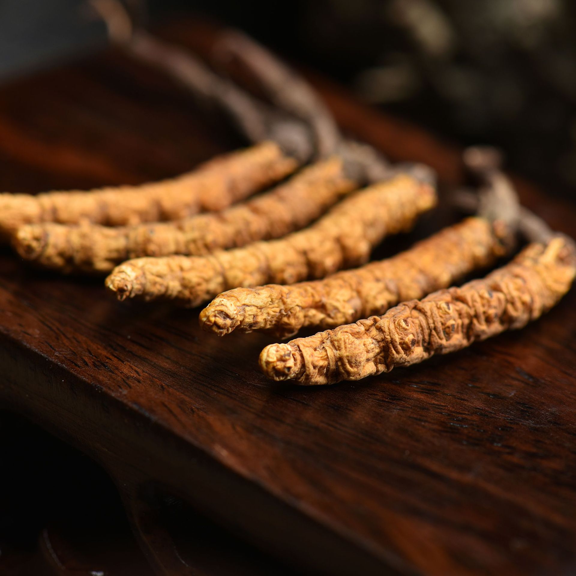 西藏虫草 冬虫夏草 那曲虫草 批发 代发