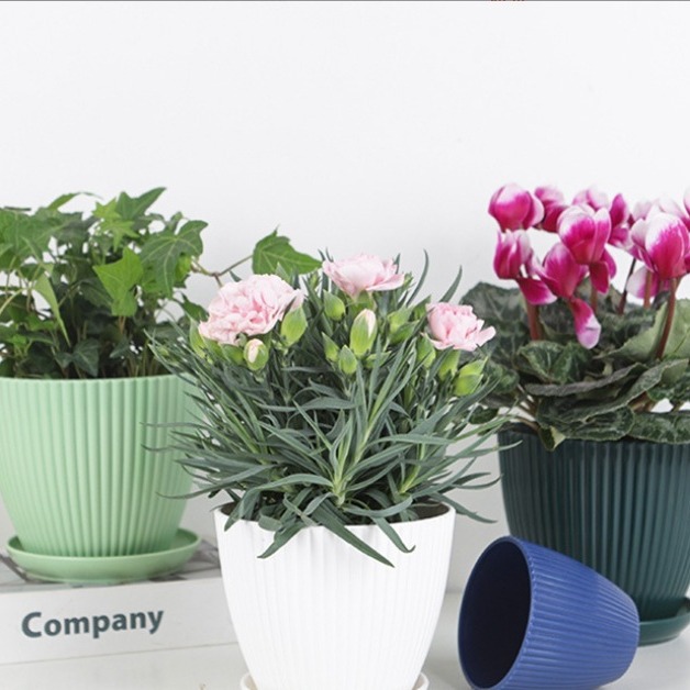 New Simple Plastic Resin Tray Thickened Green Plant Pot Colorful round Basin