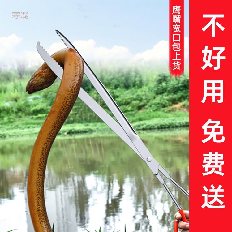 捕泥鳅