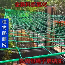 葡萄爬藤网山药豆角丝瓜吊瓜苦瓜黄瓜百香果农用植物网格爬藤网