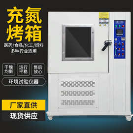 充氮真空烤箱 小型电热鼓风干燥箱 工业烤箱烘箱0008