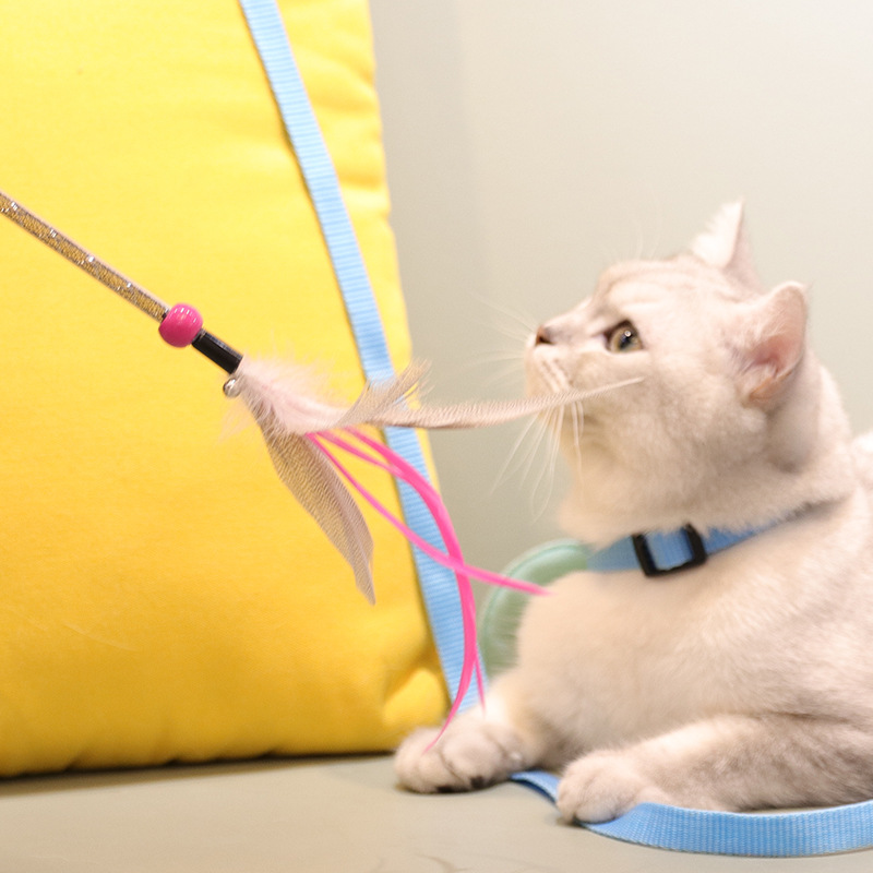 21 New Cat Cat Teaser Can Replacement Head Interactive Toys Handmade DIY Cat Teaser Toy Cat Teaser