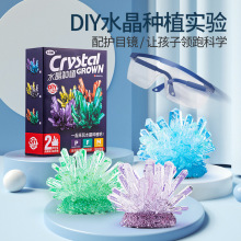 水晶种植生长实验套装儿童手工diy制作小学生益智科教玩具批发