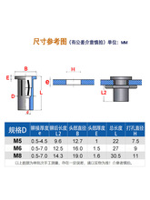 DTB9灯笼型拉铆螺母m5汽车件开槽膨胀m6加长厚拉帽花瓣拉母m8铆接