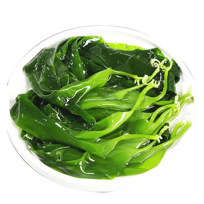 海白菜新鲜5斤裙带菜出口海裙菜海菠菜凉拌海芥菜海桔盐渍裙带梗-报价