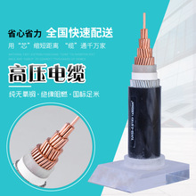 国标 高压电缆专卖 10kv高压电缆 35kv铜芯电缆高压线 3芯单芯