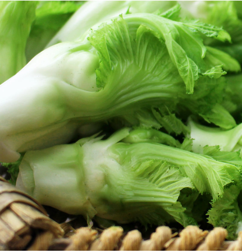 现摘】四川儿菜新鲜娃娃菜农家自种蔬菜多心母子菜抱耳菜批发包邮