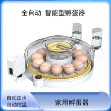 孵蛋器全自动智能小鸡苗鸭鹅孵化器小型家用孵化鸽子鹦鹉孵孵化机