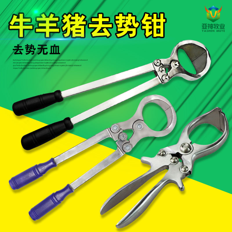 养牛羊不锈钢去势钳公羊无血去势钳阉割器煽猪钳阉羊钳夹蛋钳兽用