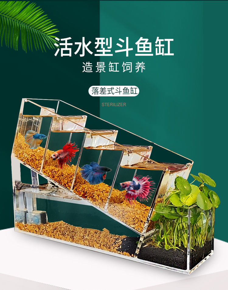 泰国斗鱼缸组合排缸多格月光水母斗鱼一体式桌面创意家居生态缸