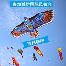 老鹰风筝大型特大潍坊专业微风易飞成人初学者带线轮大风筝