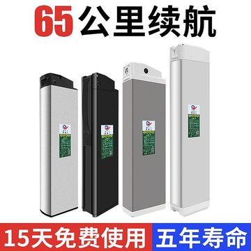 电动车48v锂电池金时捷众德森台铃洋铃深远三隆60v12ah可拆卸电瓶