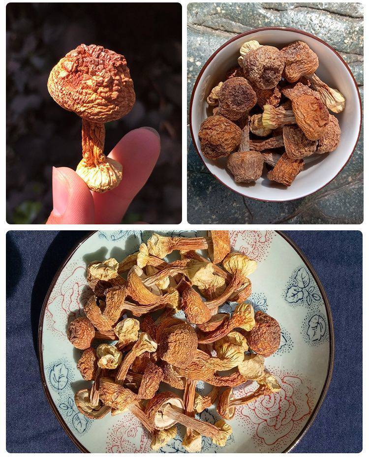 姬松茸干货松茸菌云南特产巴西菇蘑菇干片松茸菇姬松茸帽脚食用菌